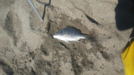 小さいけど何とか1枚